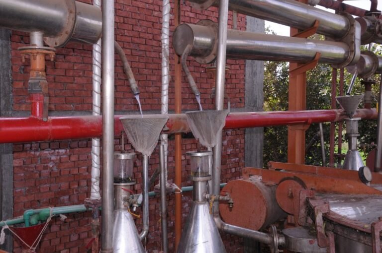 extracting-and-steam-distillation-3-1024x680