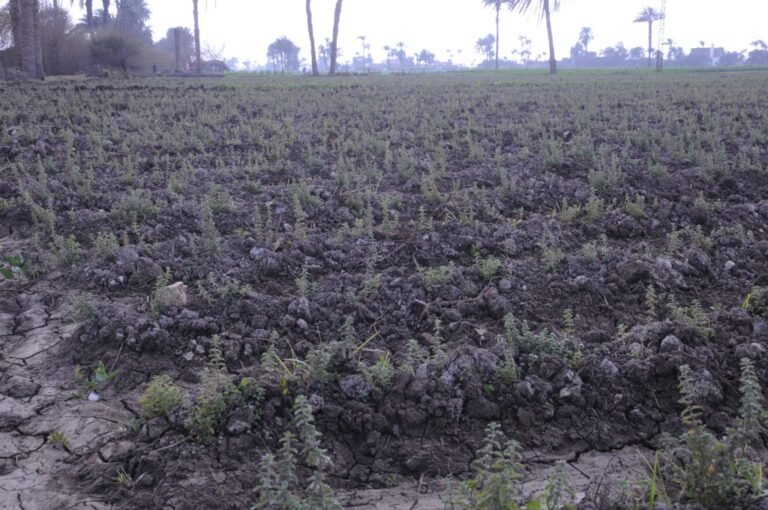 farming-1-1024x680